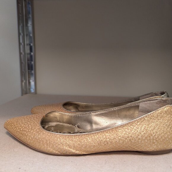 Sam Edelman flats - Picture 1 of 2